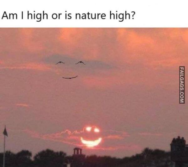 Random Funny Memes 10