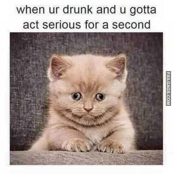 Random Funny Memes 11 12