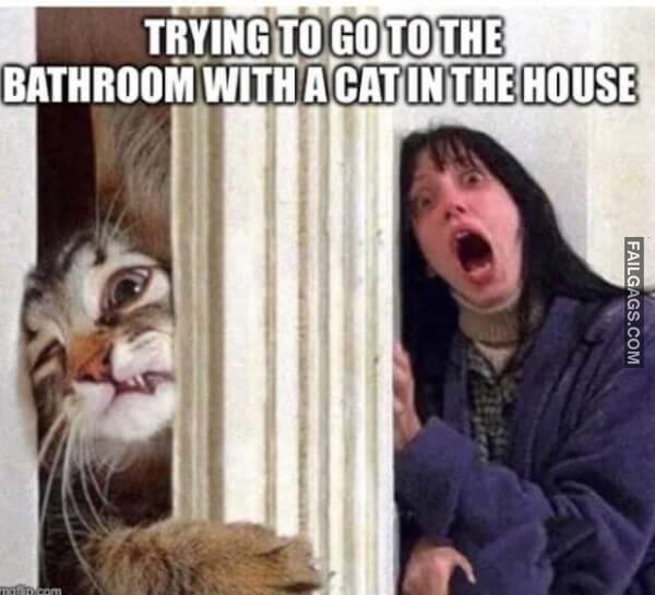 Random Funny Memes 11 13