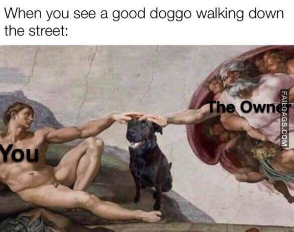 Random Funny Memes 11 9