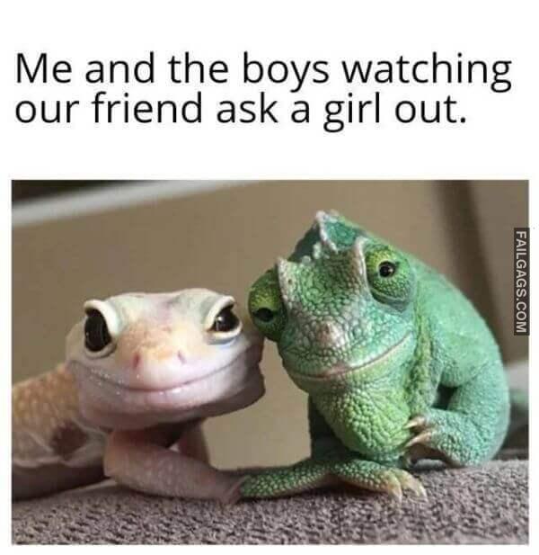 Random Funny Memes 12 11