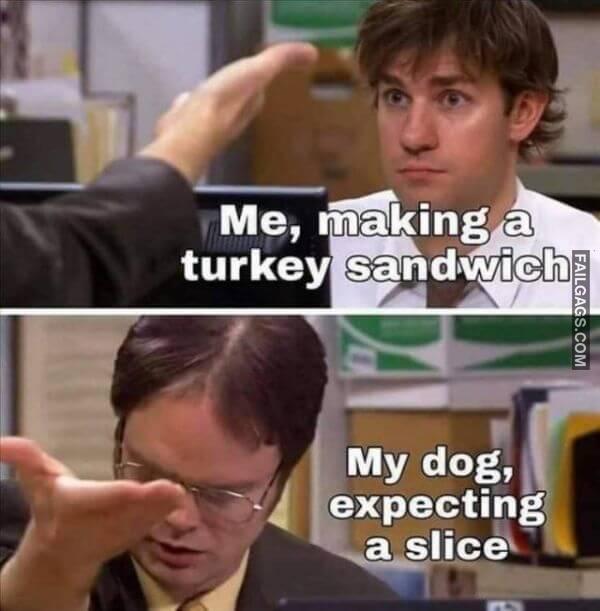 Random Funny Memes 12 3