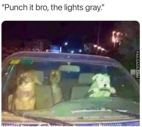 Random Funny Memes 12 5