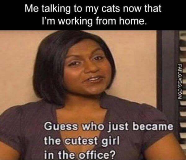 Random Funny Memes 13 10