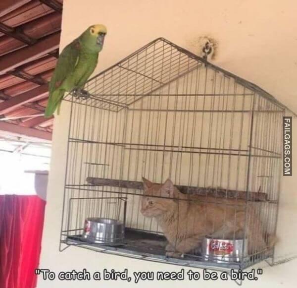 Random Funny Memes 2 4