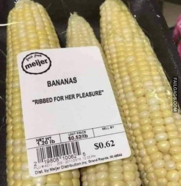 Random Funny Memes 2