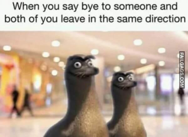 Random Funny Memes 3 3