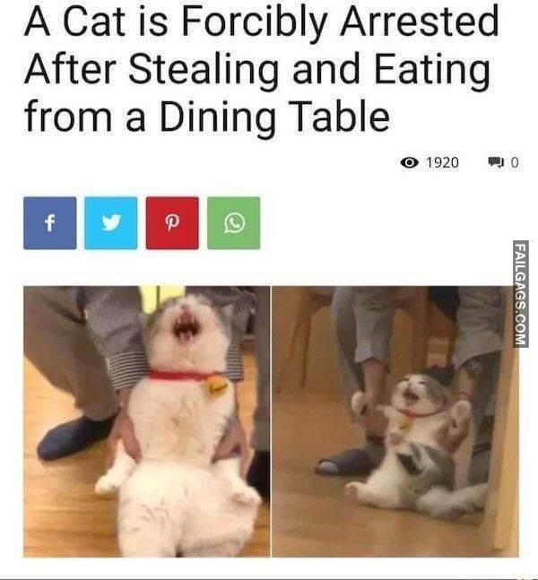 Random Funny Memes 4 6