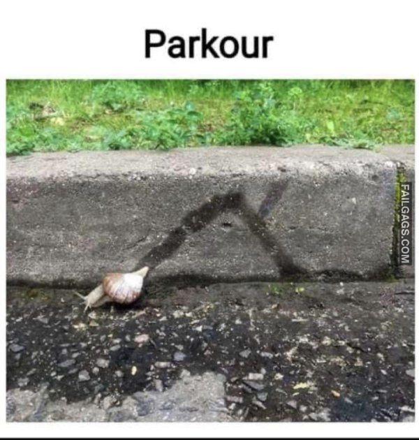 Random Funny Memes 5 5