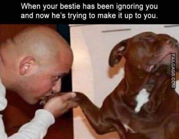 Random Funny Memes 6 12