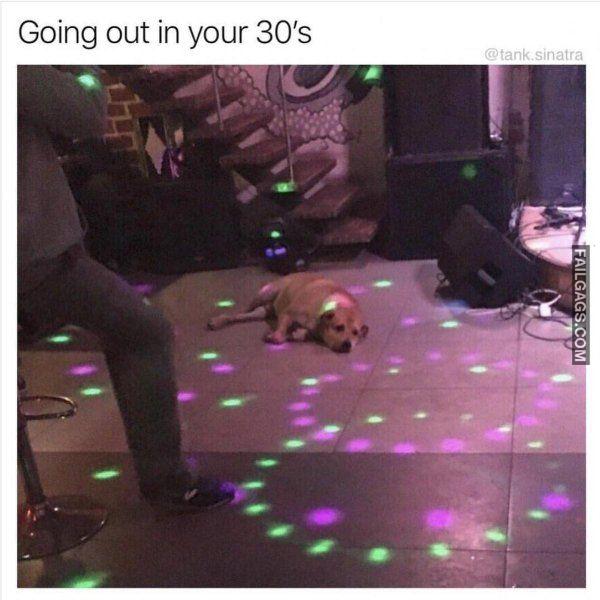 Random Funny Memes 6 5