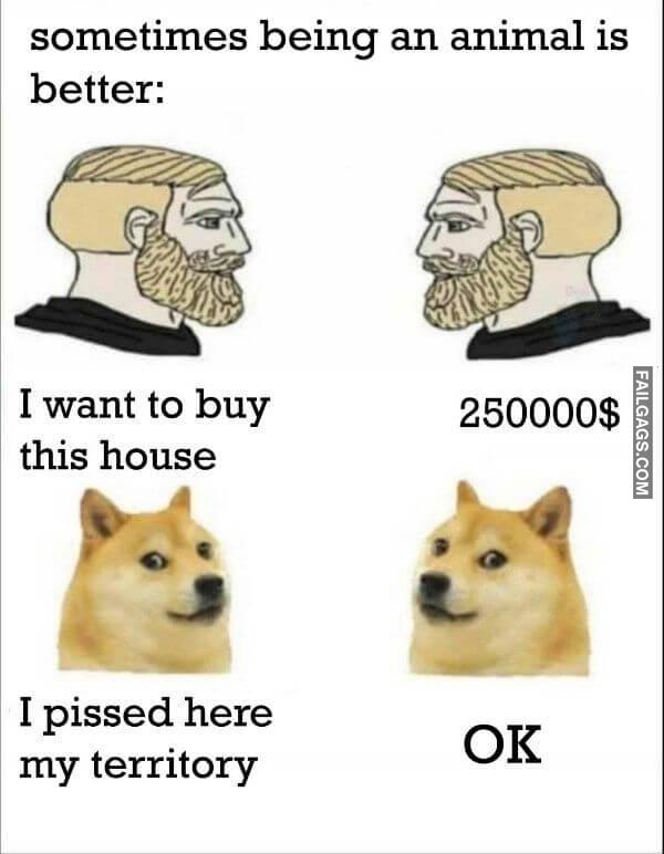 Random Funny Memes 7 9