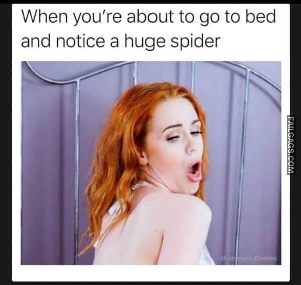 When Youre About to Go to Bed and Notice a Huge Spider Dirty Memes 18