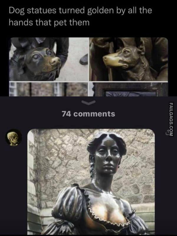 Dog Statues Turned Golden by All the Hands That Pet Them Dirty Memes