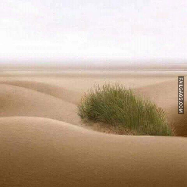 Funny Adult Memes 3 1