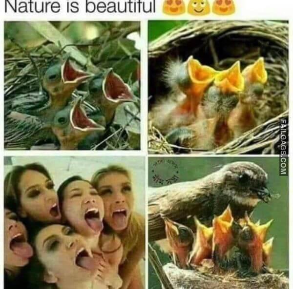 Nature Is Beautiful Funny Sex Memes