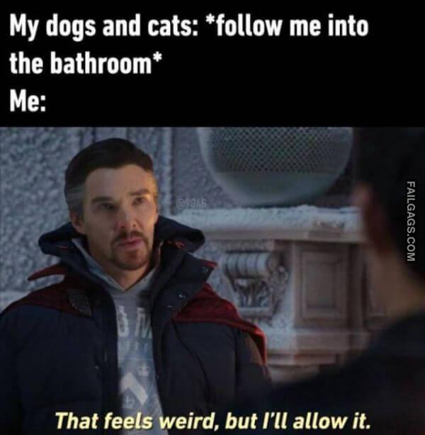 Random Funny Memes 10 10