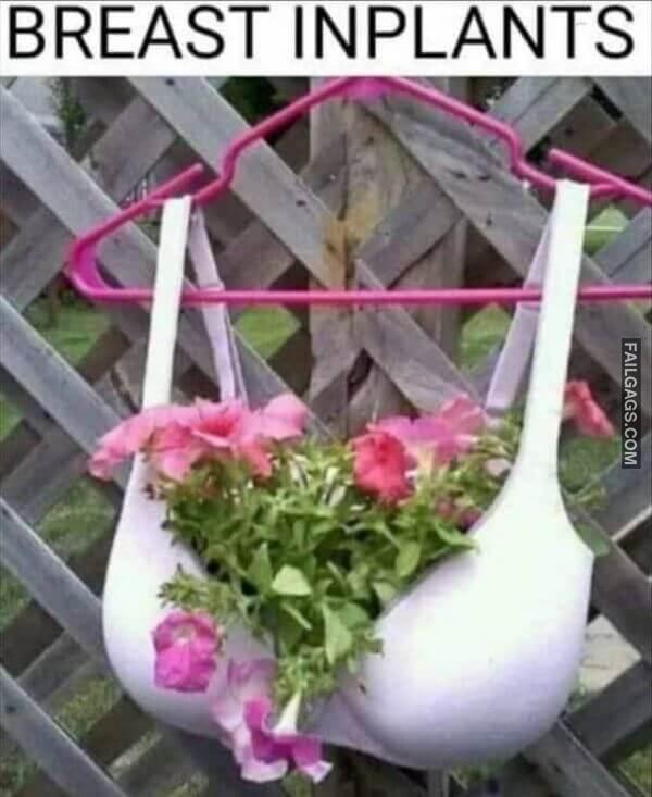 Random Funny Memes 10 2