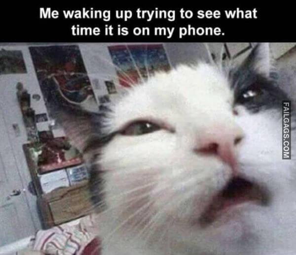 Random Funny Memes 11 4