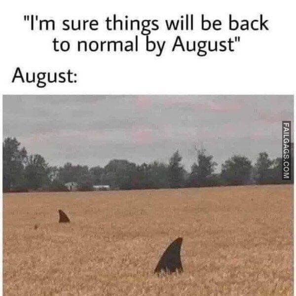 Random Funny Memes 11