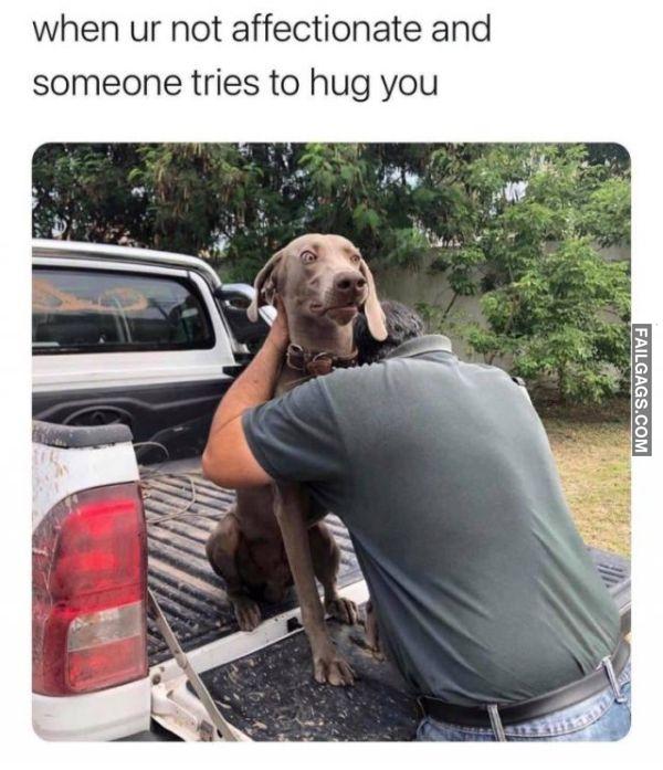 Random Funny Memes 12 5