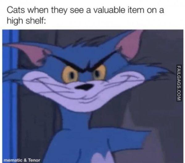 Random Funny Memes 14 3