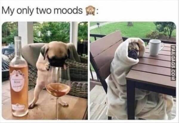 Random Funny Memes 4 7