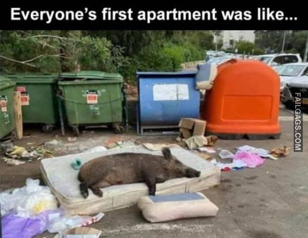 Random Funny Memes 5 2