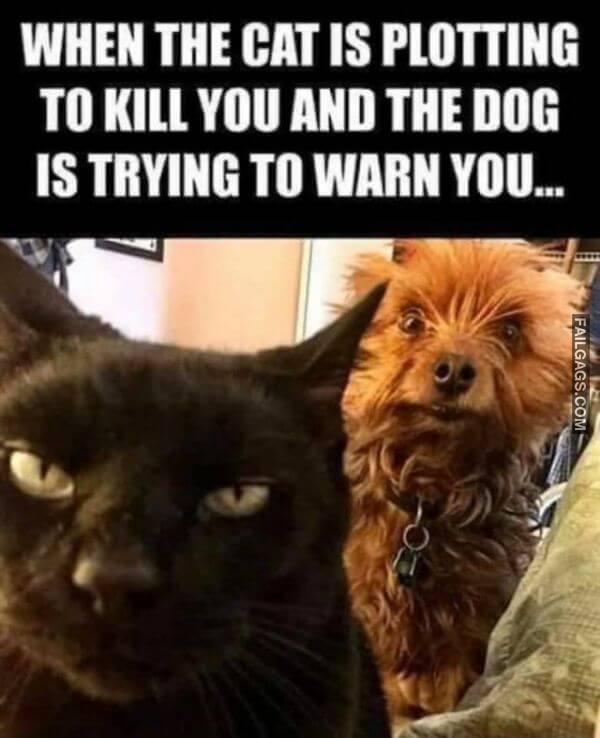 Random Funny Memes 5 3