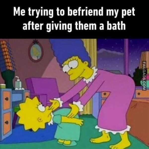 Random Funny Memes 6 11