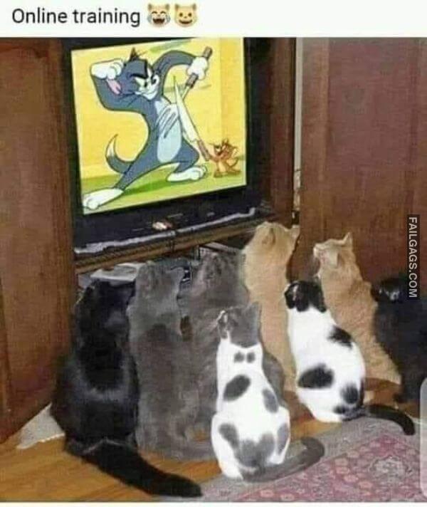 Random Funny Memes 6 5