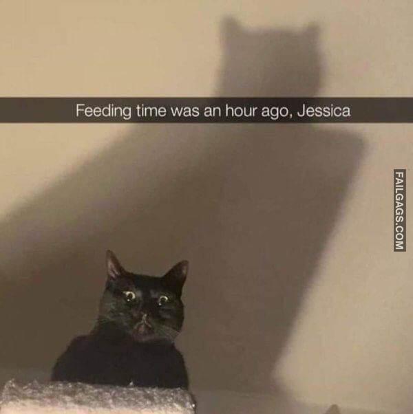 Random Funny Memes 7