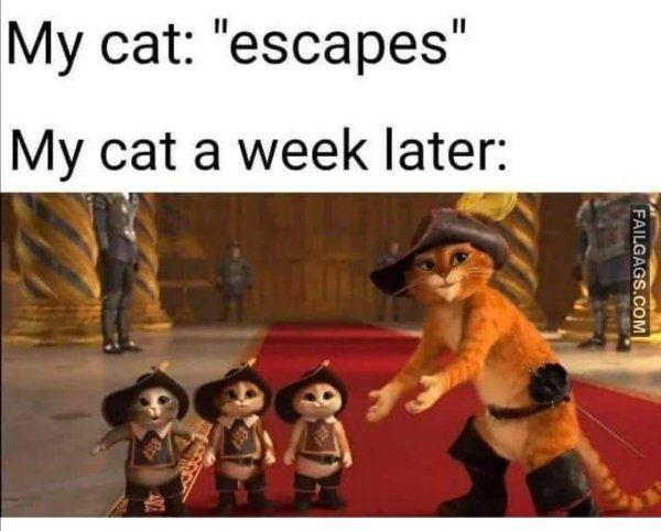 Random Funny Memes 9 4