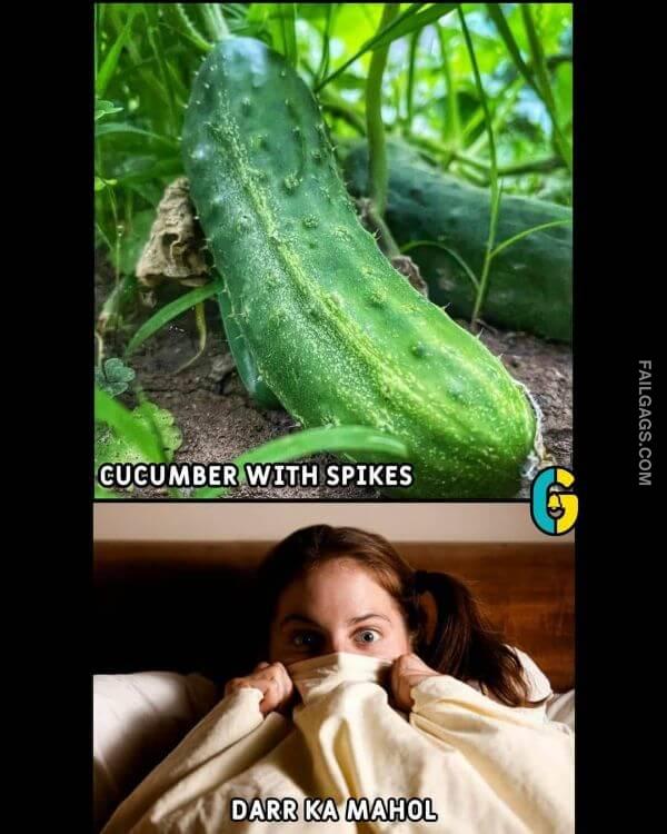 Adult Naughty Double Meaning Indian Memes 8