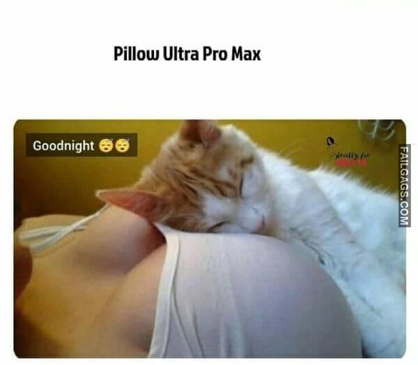 Pillow Ultra Pro Max Dirty Memes