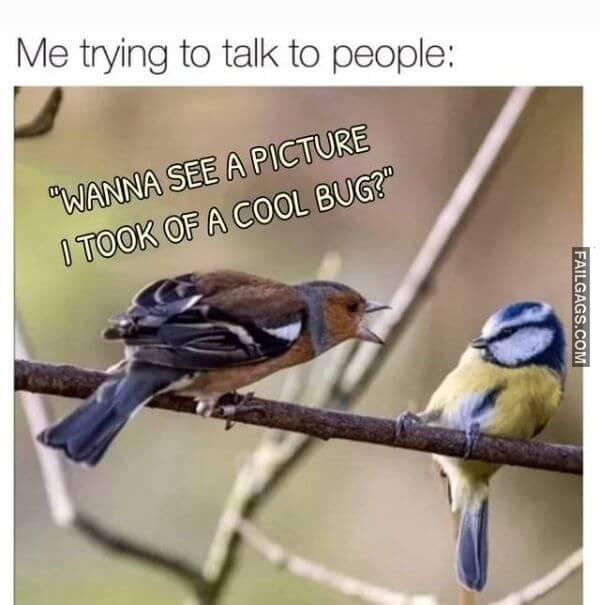 Random Funny Memes 10 10