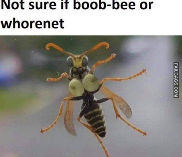 Random Funny Memes 10 12