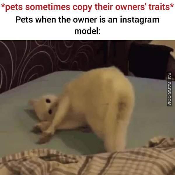 Random Funny Memes 10 4