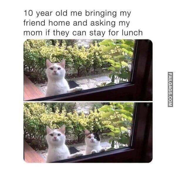 Random Funny Memes 10 5