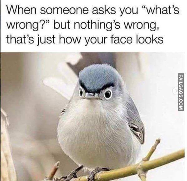 Random Funny Memes 10