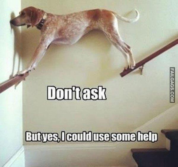 Random Funny Memes 11 11