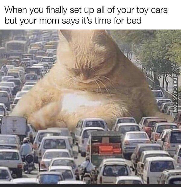 Random Funny Memes 11 7