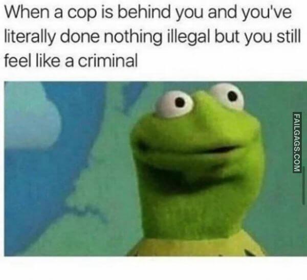 Random Funny Memes 12 6