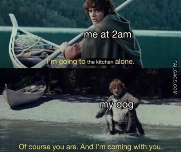 Random Funny Memes 12 8