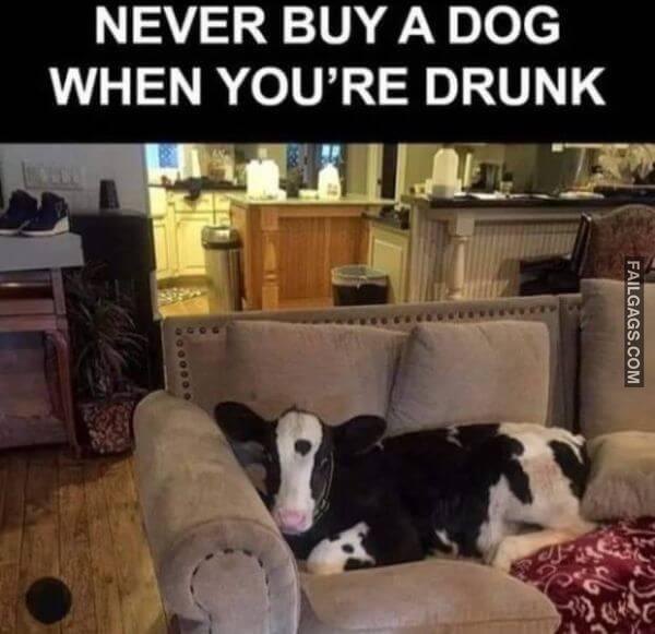 Random Funny Memes 3 11