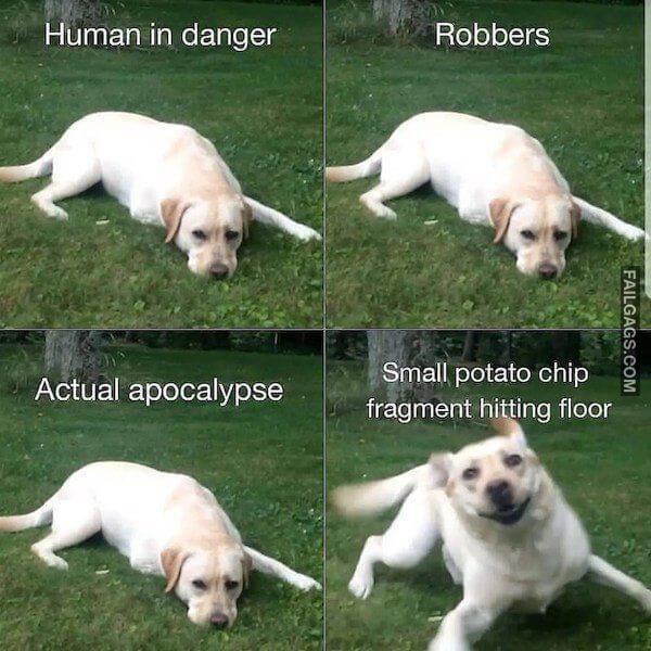 Random Funny Memes 3 13