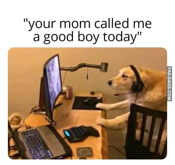 Random Funny Memes 4 7