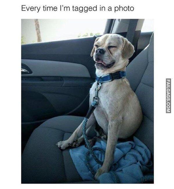 Random Funny Memes 5 8