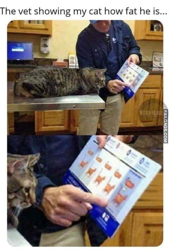 Random Funny Memes 6 5