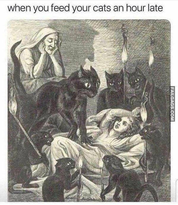 Random Funny Memes 7 1